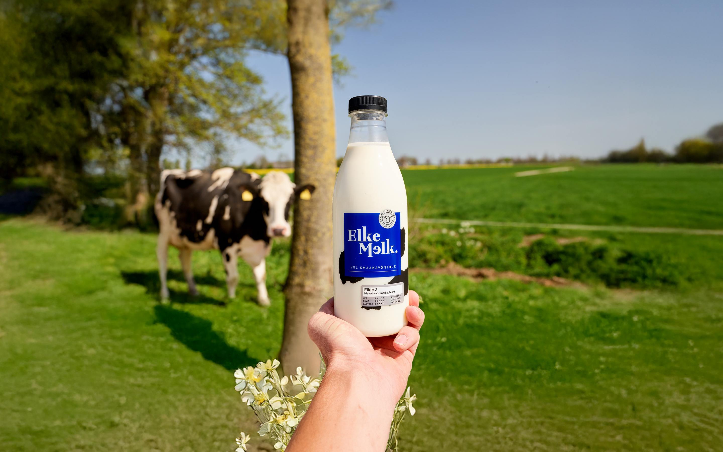 ElkeMelk • De lekkerste melk van het land!